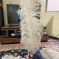 لوازم علامت