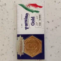 قطعه طلا پیدا شده