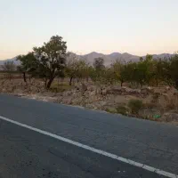 باغ در روستای ساری تپه|فروش دفتر صنعتی، کشاورزی، تجاری|مرند, |دیوار