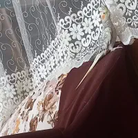 فروش عروس هلندی نر و ماده