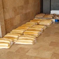 بازار یاب کارخانه نان