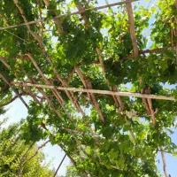 خانه گاریزات|فروش خانه و ویلا|گاریزات, |دیوار