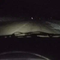 سگ پیدا شده