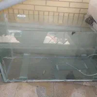 اکواریم ۶ میل