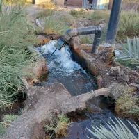 آب کشاورزی ازموتور|خدمات باغبانی و درختکاری|بم, |دیوار