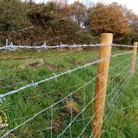 فنس کشی ،سیم خاردار،شاب،انواع درب بزرگ|خدمات باغبانی و درختکاری|دزفول, |دیوار