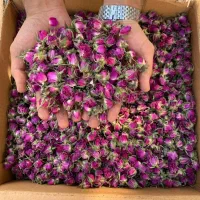 غنچه گل محمدی فروشی