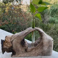 نیروی کار ساده تمام وقت کارگاه چوب و هنر روستیک|استخدام صنعتی، فنی، مهندسی|آمل, |دیوار