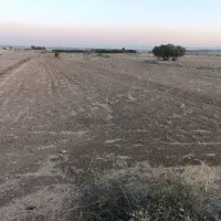 فروش سه هزارمتر زمین|فروش دفتر صنعتی، کشاورزی، تجاری|بانش, |دیوار