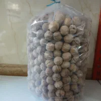 گردو تک درخت اسکو و فندق محلی صدرصد ارگانیک