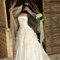 لباس عروس|لباس|تهران, بیسیم|دیوار