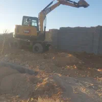 سگ پیدا شده کودیان