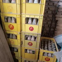 جعبه نوشابه