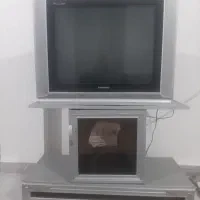 تلوزیون