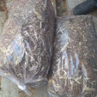 برگ زرد . پاپر