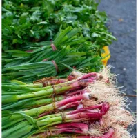 سفارش غذا ایرانی و فرنگی /فینگر فود /سالاد|خدمات پذیرایی، مراسم|صفادشت, |دیوار