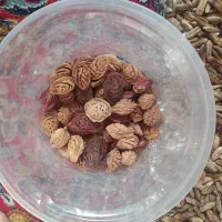 هسته خرما جهت قهوه خرما و هسته هلو جهت کاچی|فعالیت داوطلبانه|کرمان, |دیوار