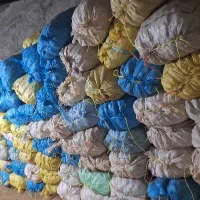 سیب زمینی بذری گردویی فندقی تخم مرغیر