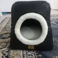 جا خواب گربه