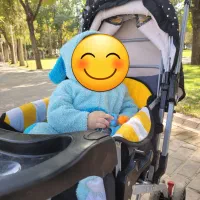 کالسکه کریر وصندلی ماشین