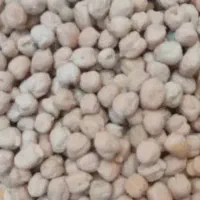 نخود بذر|عمده‌فروشی|کنگاور, |دیوار