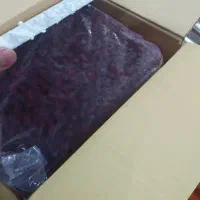 پخش باقالی منجمد البالو بدون هسته|خوردنی و آشامیدنی|تهران, جی|دیوار