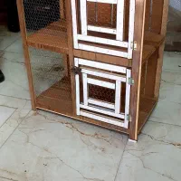 قفس جفت کن کبوتر