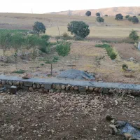 زمین بمساحت 1300 مترمربع جهت خانه باغ یا طرح.|فروش زمین و ملک کلنگی|کارزان, |دیوار