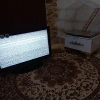 تلویزیون با پنل نیمه سوخته