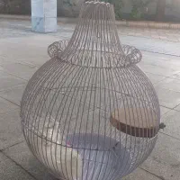 قفس پرنده
