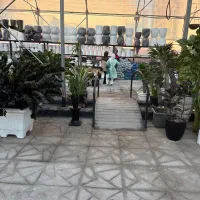 استخدام نیرو اقا و خانم جهت کار در گلخانه|استخدام خدمات فروشگاه و رستوران|مشهد, هفت تیر (حافظ)|دیوار