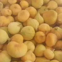 انجیر تازه