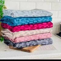 تشک مسافرتی و پتوی مسافرتی