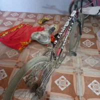 دوچرخه ۲۴|دوچرخه، اسکیت، اسکوتر|برازجان, |دیوار