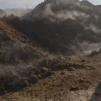 خرید فروش کود حیوانی