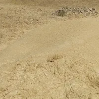 کاه جو وکاه گندی فروشی تمیز ومناسب