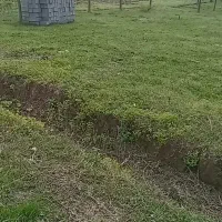 زمین باغی فروشی قولنامه ای