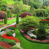 باغبانی و اجرای فضای سبز|خدمات باغبانی و درختکاری|قزوین, |دیوار