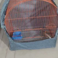 قفس پرنده