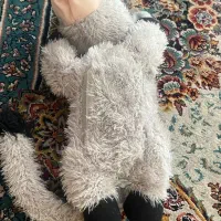 عروسک موزیکال|اسباببازی|فسا, |دیوار