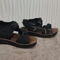 کفش|کیف، کفش، کمربند|شیراز, نصر|دیوار