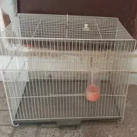 قفس پرنده