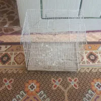 قفس