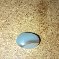 مهره برد