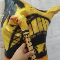 نی انبان درجه یک فروشی