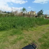 زمین-250متری-شهری