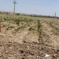 فروش۱۰۰۰مترزمین در کنار آسفالت جاده شبستر صفیان|فروش زمین و ملک کلنگی|شبستر, |دیوار