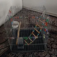 قفس پرنده کاملا سالم و نو