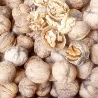 گردو کاغذی پرچرب