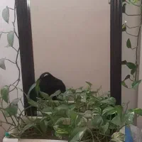 آینه قدی نو